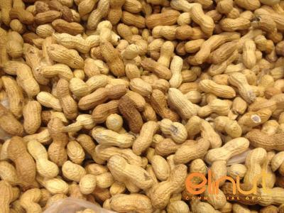 Buy new extra roasted cashews + great price