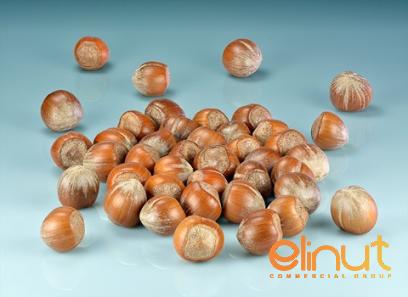 Specifications organic raw hazelnuts + purchase price