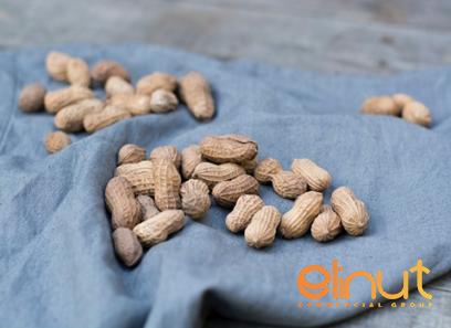 Price and buy cashew nut dry fruit + cheap sale