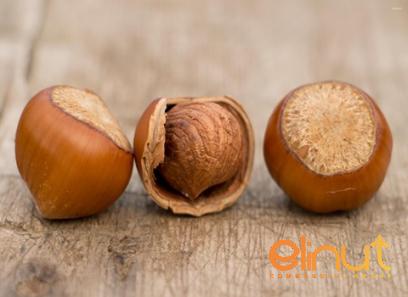 The price of hazelnuts shelled + purchase and sale of hazelnuts shelled wholesale
