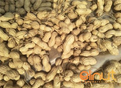 raw peanut aldi purchase price + photo