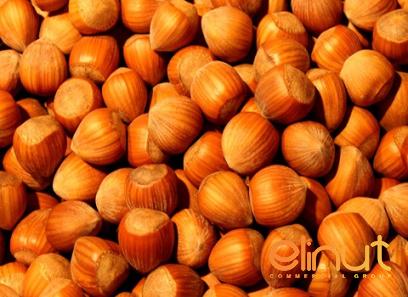 The price of shell in hazelnut + purchase and sale of X wholesale