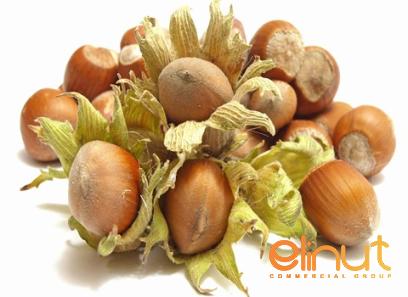 Buy new roasted hazelnuts in shell + great price