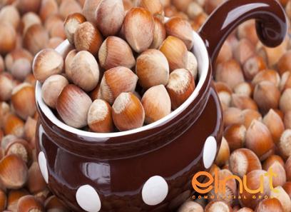 organic hazelnuts bulk purchase price + user guide
