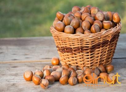 Buy hazelnut shell | Selling all types of hazelnut shell at a reasonable price