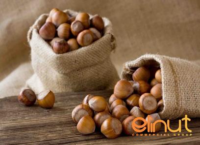 unsalted hazelnuts purchase price + sales in trade and export