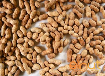 Specifications raw cashews nuts + purchase price