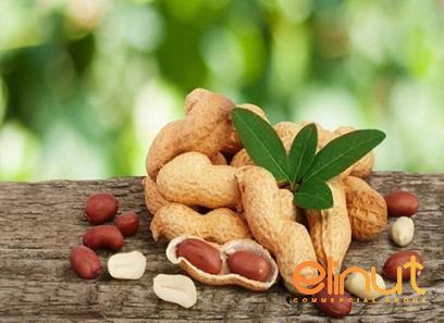 raw peanut type price reference + cheap purchase