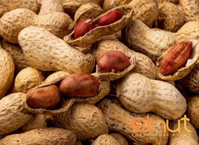 Buy retail and wholesale organic raw cashew price
