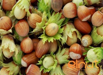 Buy the best types of bulk hazelnuts at a cheap price