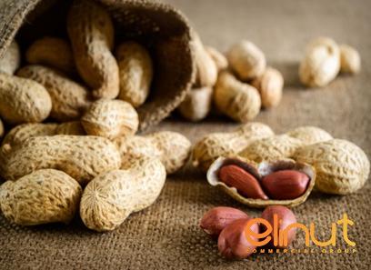 brazilian cashew nuts purchase price + preparation method
