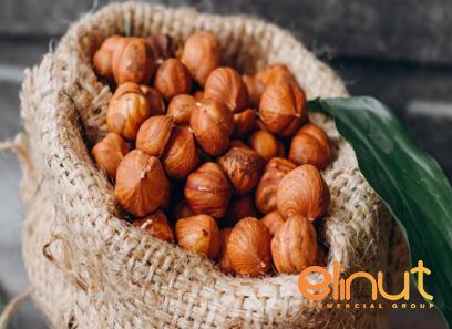 Buy hazelnuts shell nuts types + price