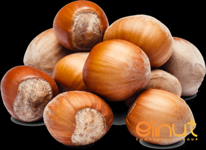 Buy the best types of roasted hazelnuts at a cheap price