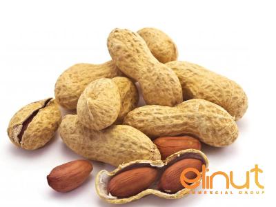 Buy and price of raw organic cashew nut
