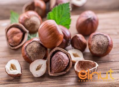 bulk shelled hazelnuts price + wholesale and cheap packing specifications