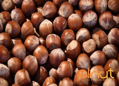 The purchase price of unshelled hazelnuts from production to consumption in bulk and...